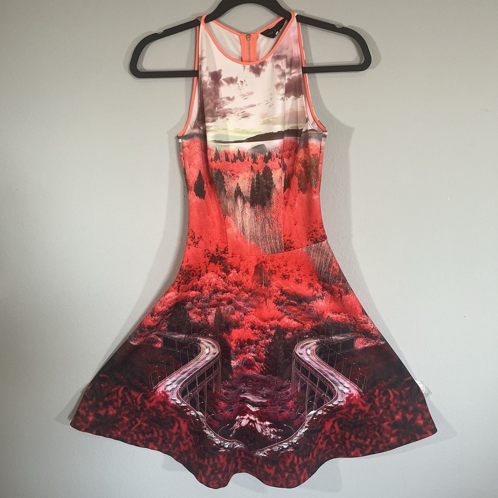 Ted Baker London Women's Dress Size 0 Sleeveless Graphic Print Fit & Flare